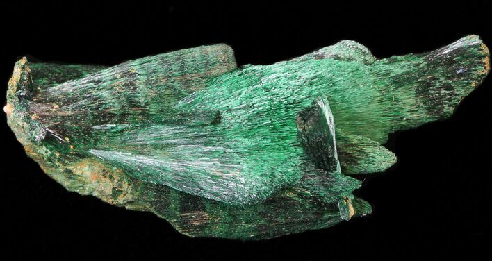 Silky, Fibrous Malachite Crystals - Morocco #42044